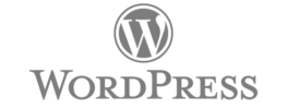 WordPress logo for website development services